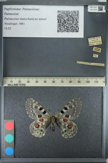 Media type: image;   Entomology 174797